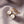 Elegant Lady's Pearl Drop Earrings