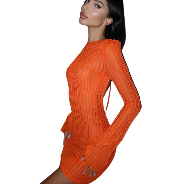 Long Sleeve Backless Mini Dress